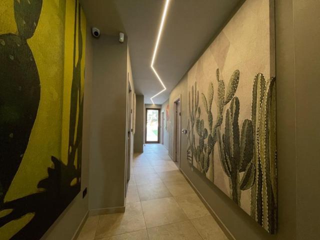 Opuntia Rooms 米拉佐 外观 照片